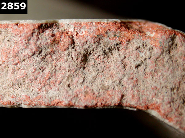 FIG SPRINGS POLYCHROME specimen 2859 side view