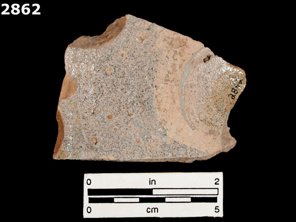 YAYAL BLUE ON WHITE specimen 2862 rear view