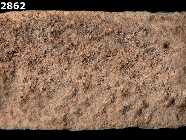 YAYAL BLUE ON WHITE specimen 2862 side view