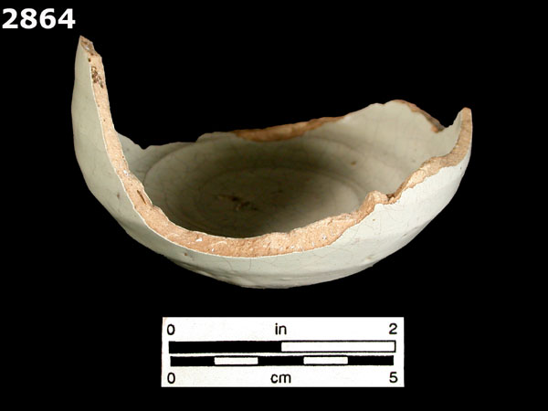 MEXICO CITY WHITE-VARIETY 1 specimen 2864 