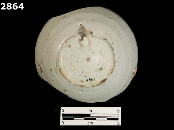 MEXICO CITY WHITE-VARIETY 1 specimen 2864 rear view