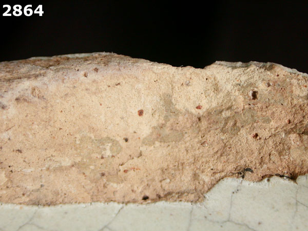 MEXICO CITY WHITE-VARIETY 1 specimen 2864 side view