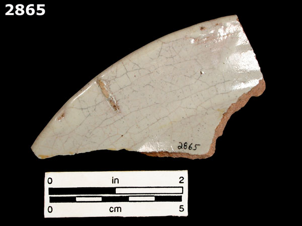 MEXICO CITY WHITE-VARIETY 1 specimen 2865 rear view