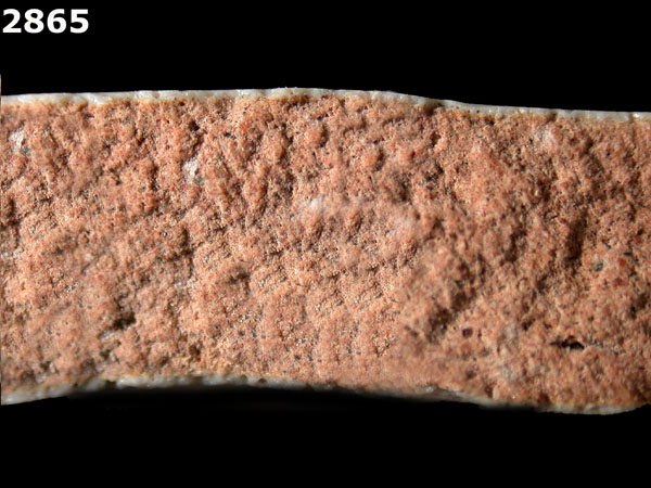 MEXICO CITY WHITE-VARIETY 1 specimen 2865 side view