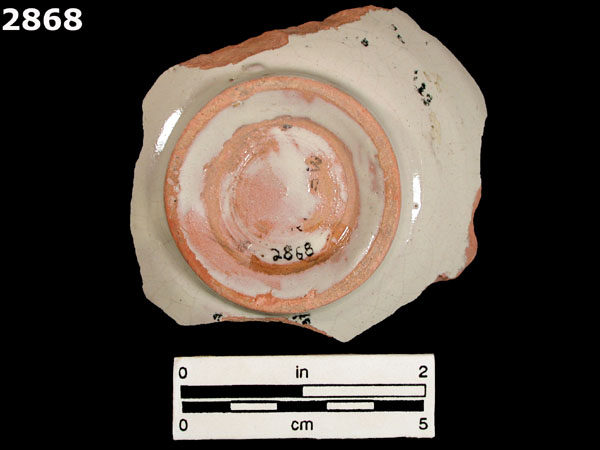 FIG SPRINGS POLYCHROME specimen 2868 rear view