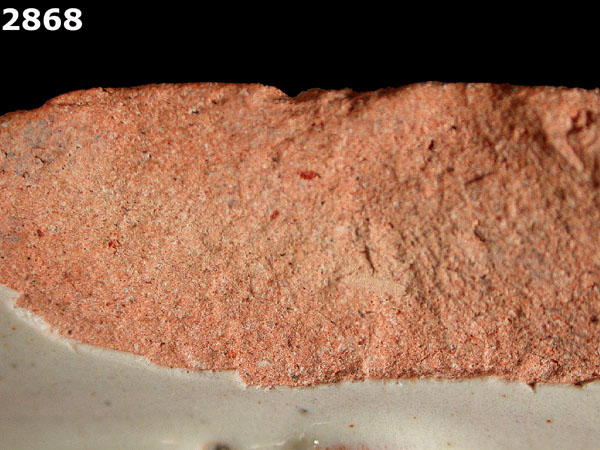 FIG SPRINGS POLYCHROME specimen 2868 side view