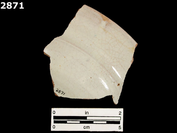 MEXICO CITY WHITE-VARIETY 1 specimen 2871 rear view