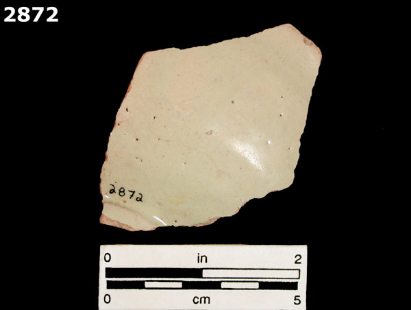 MEXICO CITY WHITE-VARIETY 1 specimen 2872 rear view