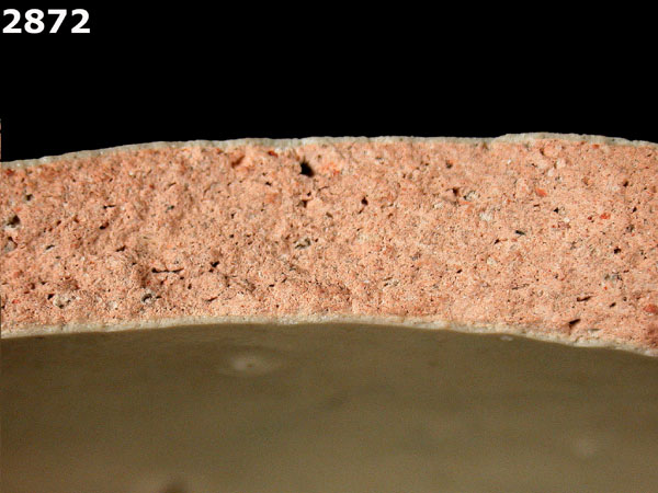 MEXICO CITY WHITE-VARIETY 1 specimen 2872 side view