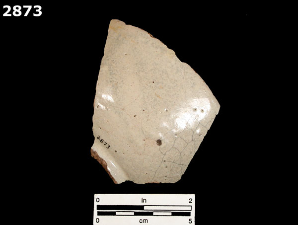 MEXICO CITY WHITE-VARIETY 1 specimen 2873 rear view