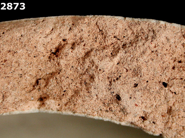 MEXICO CITY WHITE-VARIETY 1 specimen 2873 side view