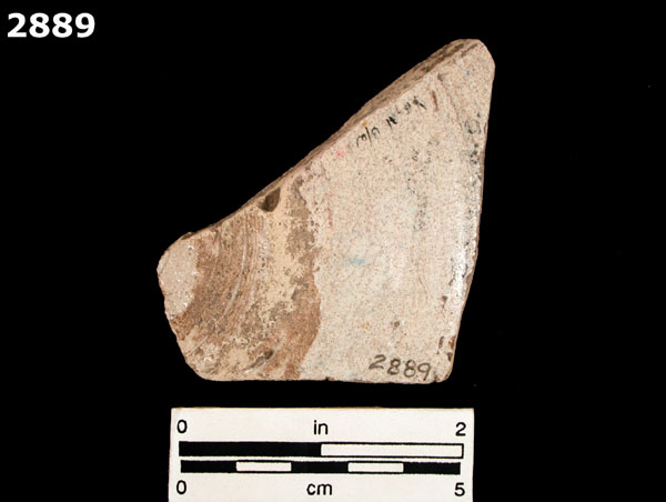 YAYAL BLUE ON WHITE specimen 2889 rear view