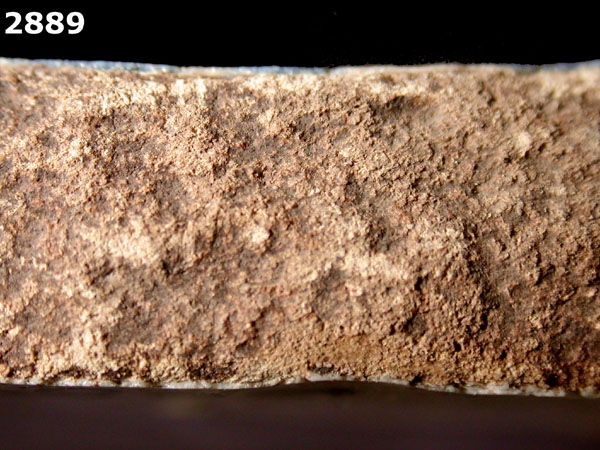 YAYAL BLUE ON WHITE specimen 2889 side view