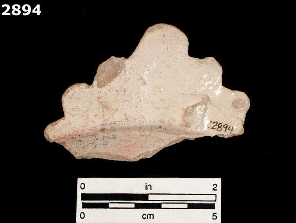 COLUMBIA PLAIN specimen 2894 rear view
