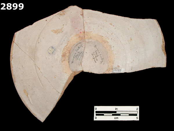 YAYAL BLUE ON WHITE specimen 2899 rear view