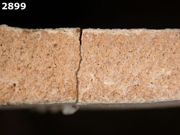 YAYAL BLUE ON WHITE specimen 2899 side view