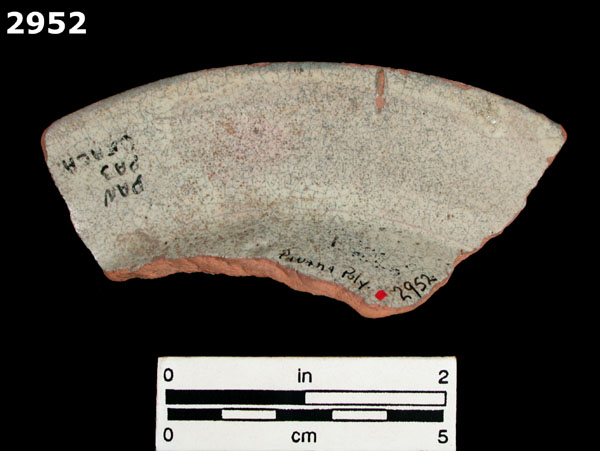 PANAMA BLUE ON WHITE specimen 2952 rear view