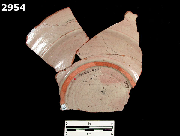 SAN LUIS BLUE ON WHITE specimen 2954 rear view