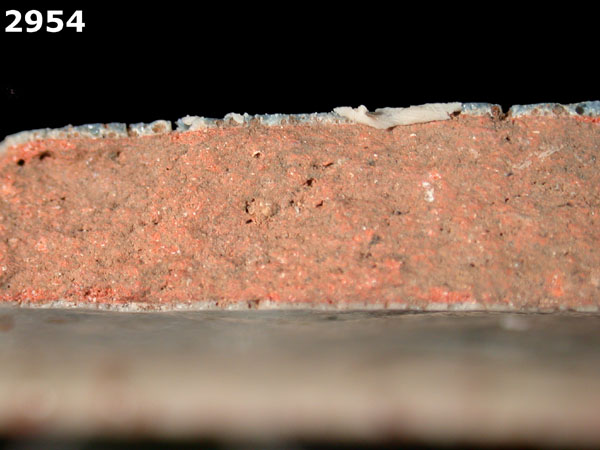 SAN LUIS BLUE ON WHITE specimen 2954 side view