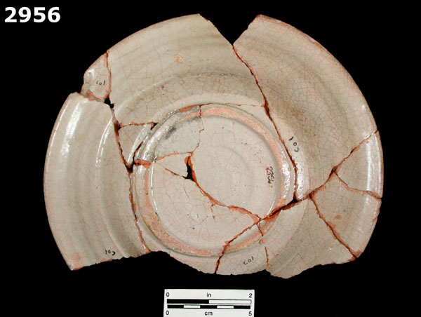 FIG SPRINGS POLYCHROME specimen 2956 rear view