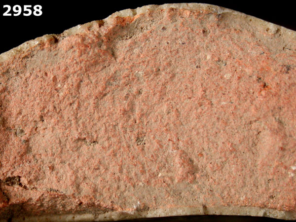 FIG SPRINGS POLYCHROME specimen 2958 side view