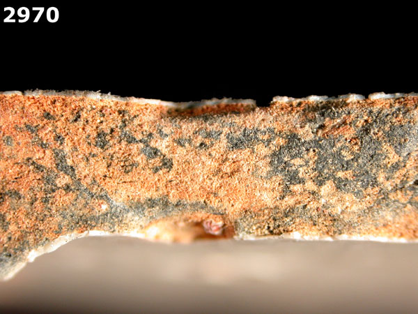 PUEBLA BLUE ON WHITE specimen 2970 side view