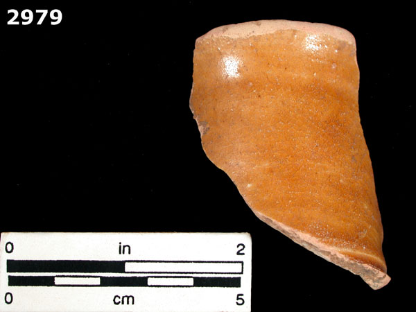 MELADO specimen 2979 front view