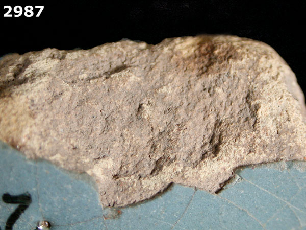 SEVILLA BLUE ON BLUE specimen 2987 side view