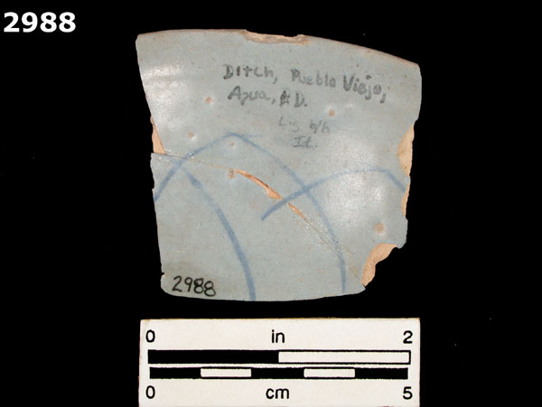 LIGURIAN BLUE ON BLUE specimen 2988 rear view