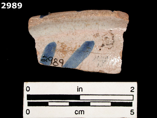 ICHTUCKNEE BLUE ON WHITE specimen 2989 rear view
