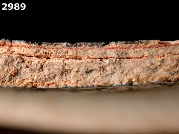 ICHTUCKNEE BLUE ON WHITE specimen 2989 side view