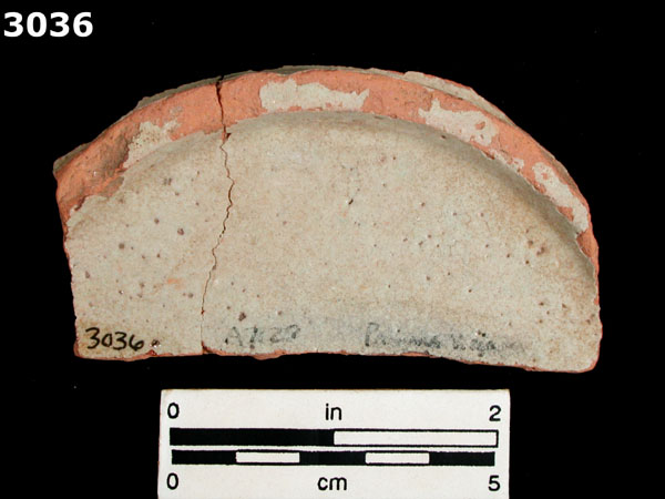 PANAMA POLYCHROME-TYPE A specimen 3036 rear view