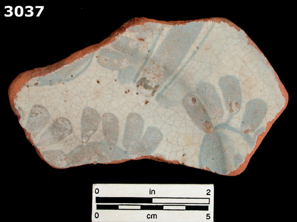 PANAMA BLUE ON WHITE specimen 3037 front view