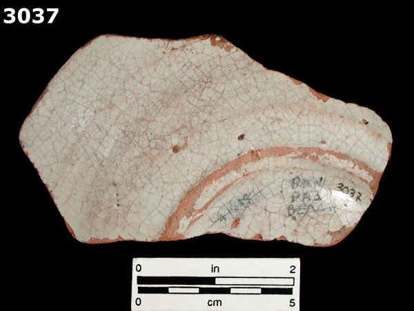 PANAMA BLUE ON WHITE specimen 3037 rear view