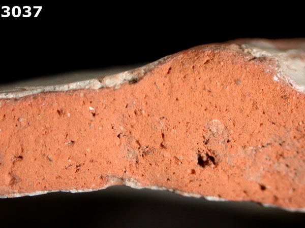 PANAMA BLUE ON WHITE specimen 3037 side view