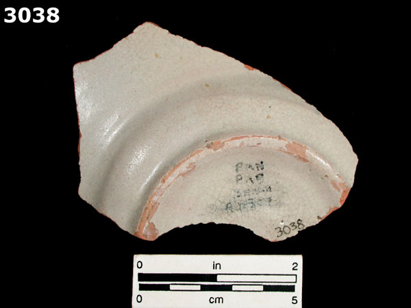 PANAMA BLUE ON WHITE specimen 3038 rear view