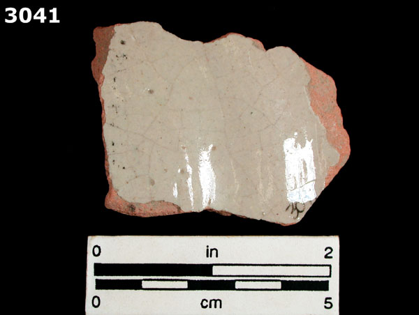 MEXICO CITY WHITE-VARIETY 1 specimen 3041 rear view