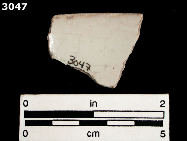 TETEPANTLA BLACK ON WHITE specimen 3047 rear view