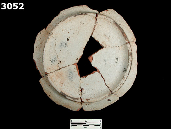 PANAMA BLUE ON WHITE specimen 3052 rear view