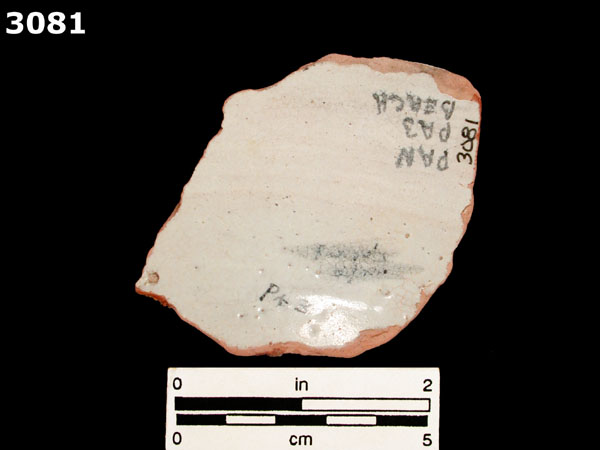 PANAMA POLYCHROME-TYPE A specimen 3081 rear view