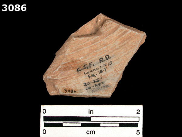 REDWARE specimen 3086 rear view