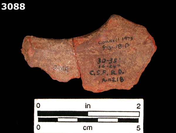 REDWARE specimen 3088 rear view