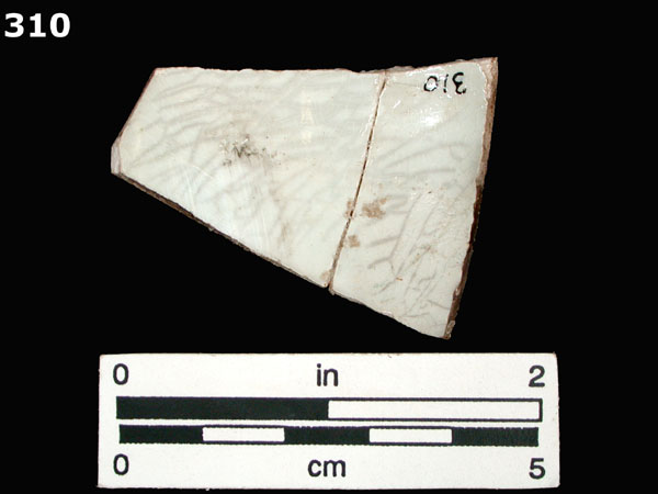 ANNULAR WARE, BANDED specimen 310 rear view