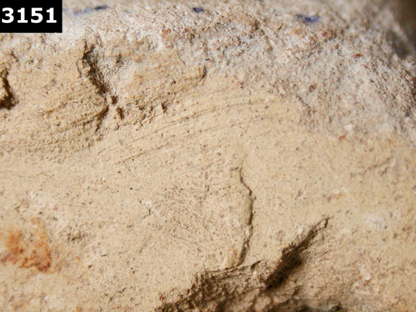 PUEBLA BLUE ON WHITE specimen 3151 side view