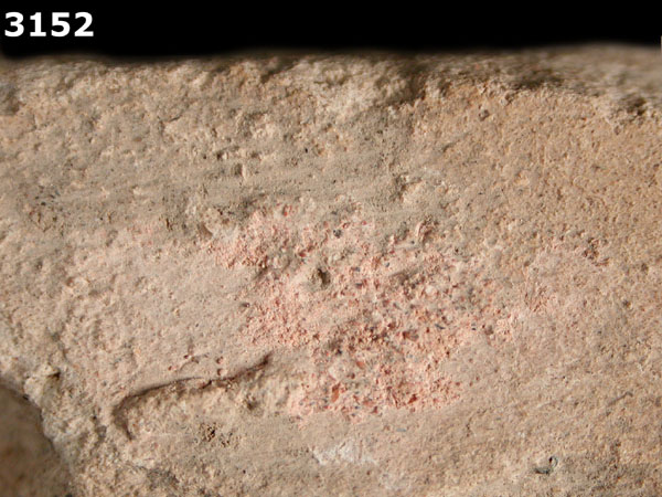 PUEBLA BLUE ON WHITE specimen 3152 side view