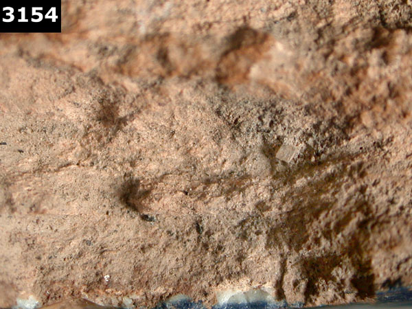 PUEBLA BLUE ON WHITE specimen 3154 side view