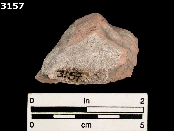 PUEBLA BLUE ON WHITE specimen 3157 rear view