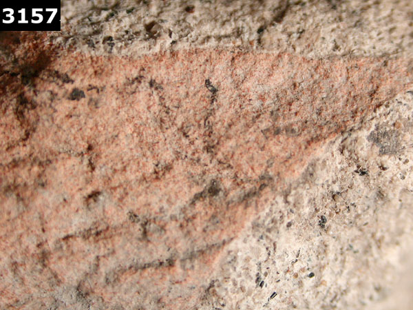 PUEBLA BLUE ON WHITE specimen 3157 side view