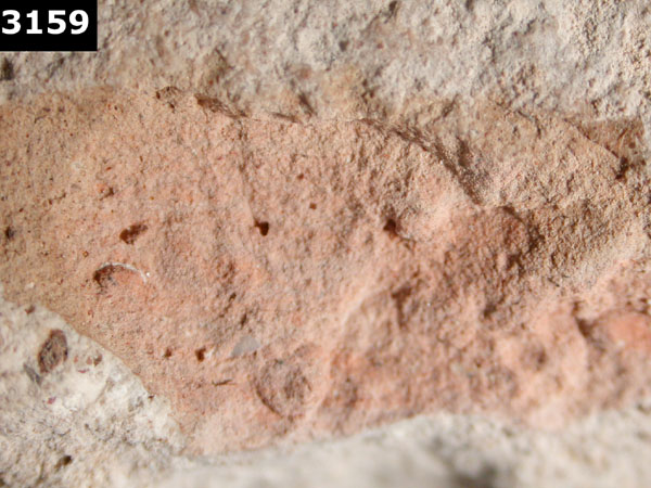 UNIDENTIFIED POLYCHROME MAJOLICA, IBERIAN specimen 3159 side view