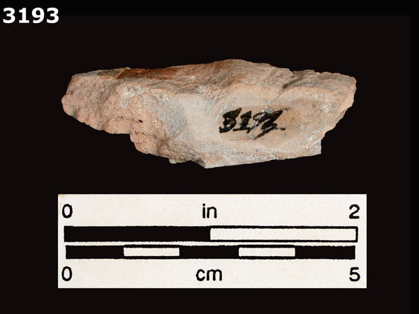 PUEBLA BLUE ON WHITE specimen 3193 rear view